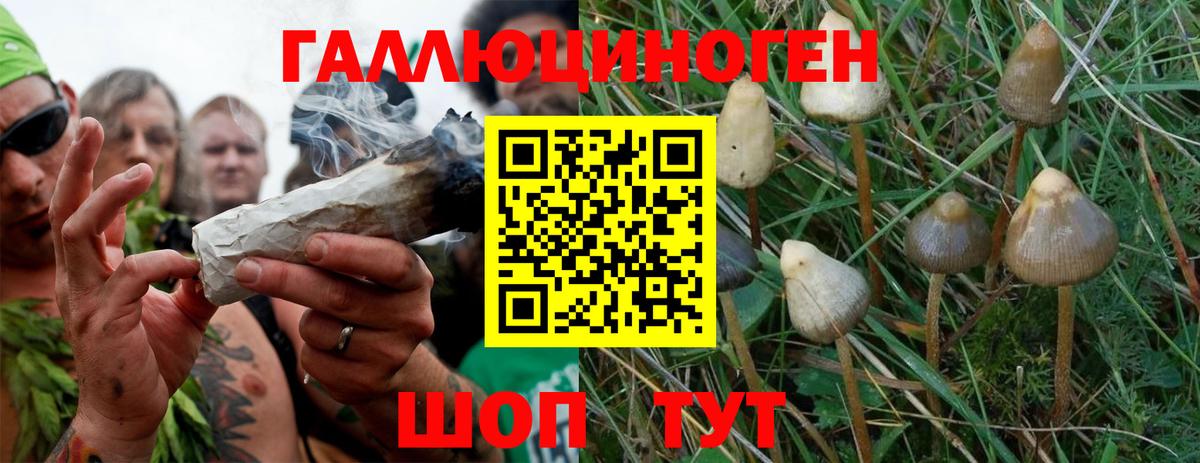 Озёры  Псилоцибиновые грибы Magic Shrooms  Вход с VPN 