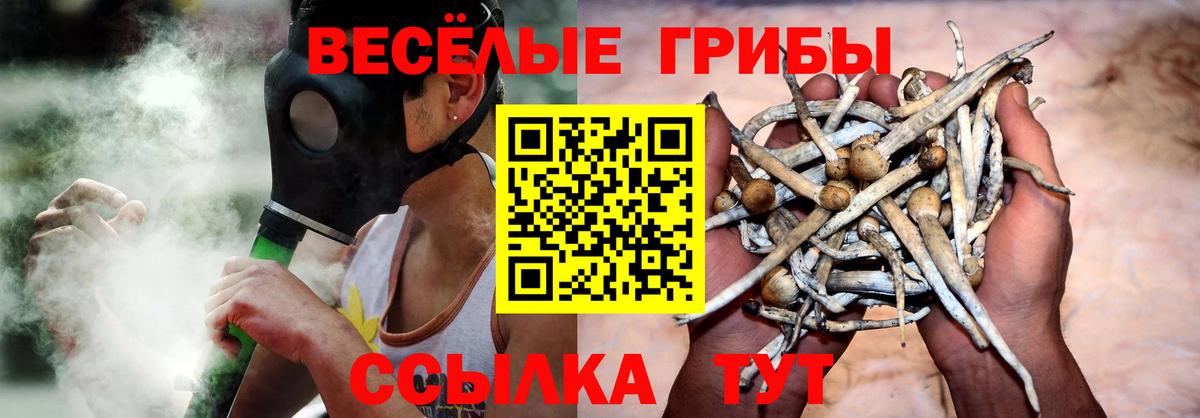 Галлюциногенные грибы мицелий Озёры